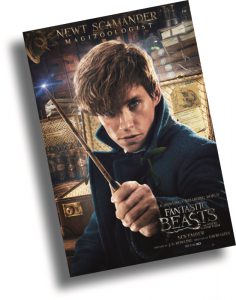 13-film-fantastic-beasts-and-where-to-find-them-win-06-24-november-2016