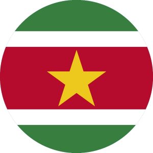 04-Wereldgerechten Suriname(03)-win 18-15 juni 2017