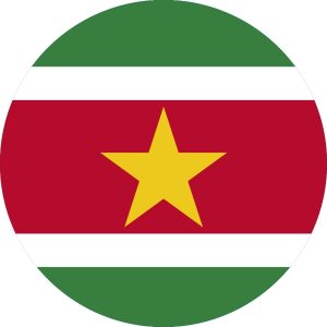 04-Wereldgerechten Suriname(03)-win 18-15 juni 2017
